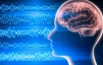 Are Online Co-adaptive Sensorimotor Rhythm Brain-Computer Interface Training Paradigms Effective?
